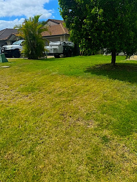 Completed Lawn Job